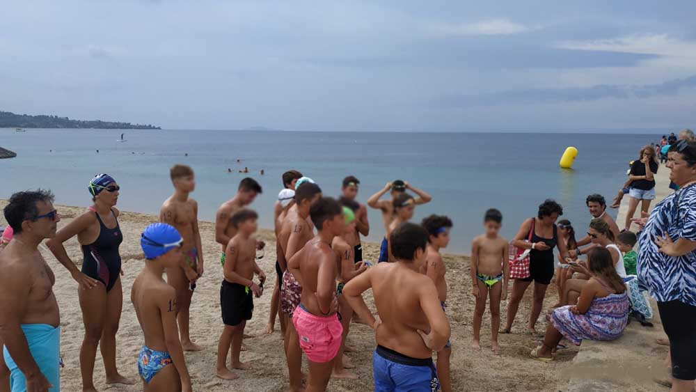 Μικρός Τορωναίος